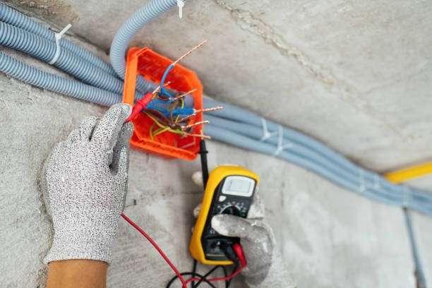 Best Electrical Upgrades for Homes  in Port Barrington, IL